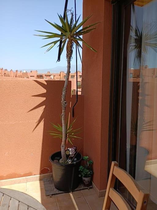 Apartamento Con Vistas El Médano Exterior foto